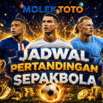 07e33efc-c2ac-4fca-a190-b3dc7e0e2de8