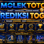 41bc3dde-78a5-48f8-835f-ad6d23f7750a