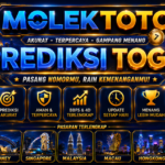 41bc3dde-78a5-48f8-835f-ad6d23f7750a-1536x864